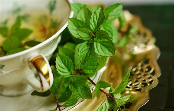 りんごの茶色い斑点は食べられる？霜輪とさび果の原因と予防法を比較