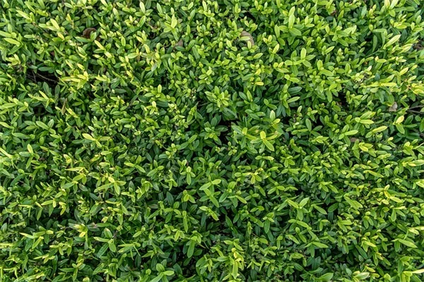 板付けランを成功させる5つの実践ステップ【初心者向け】